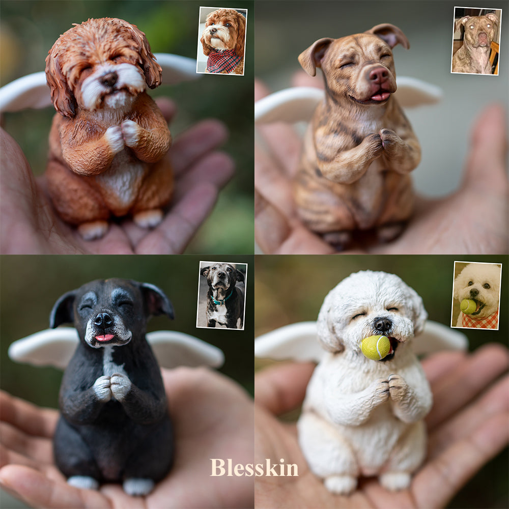 Blesskin-lemmikkihahmo