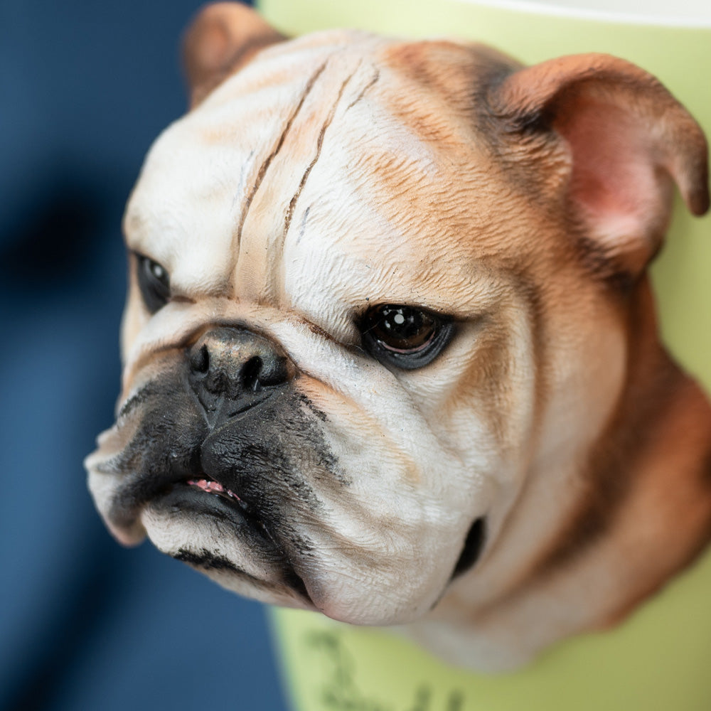 Custom Pet Mugs
